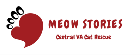 Meow Stories